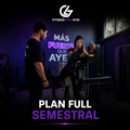 Plan Full Semestral
